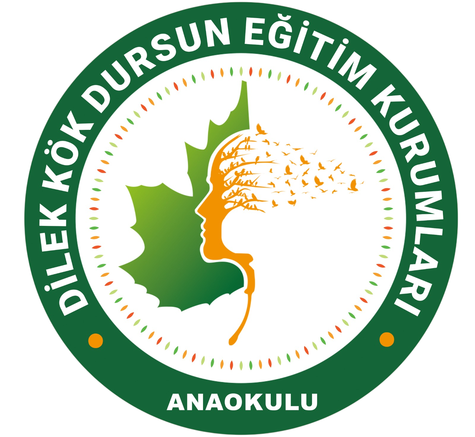 Dilek Kök Dursun Anaokulu | Okul Öncesi Eğitim